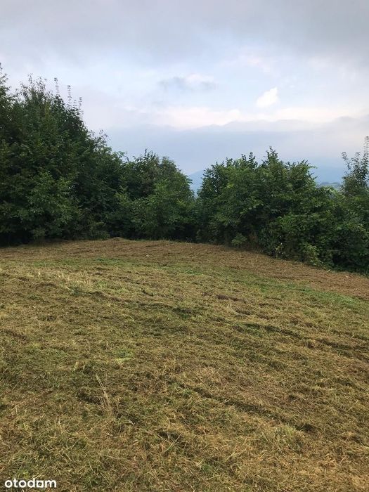 Działka budowlana nad jeziorem Żywieckim