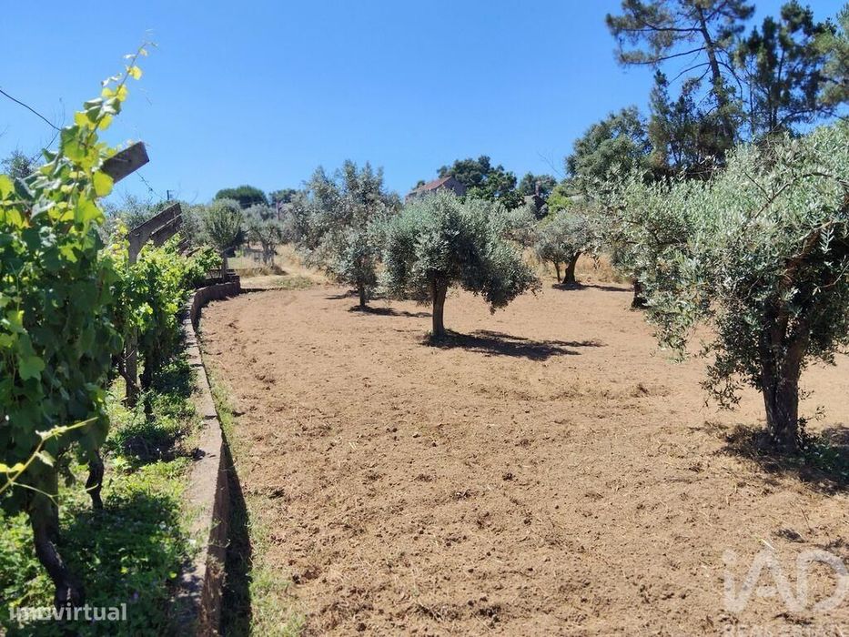 Terreno em Castelo
