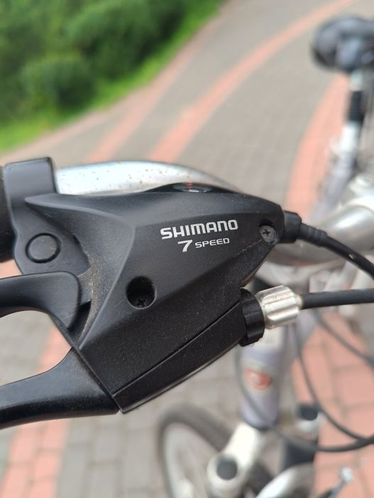 Rower Crossowy Schwinn Railway