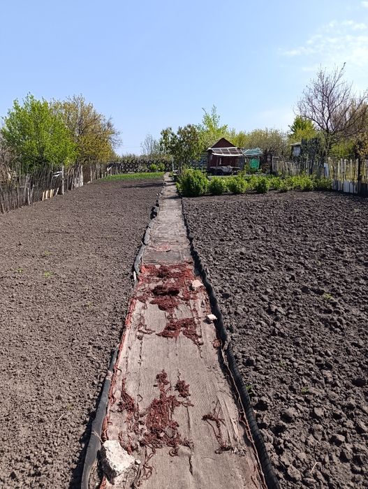 Продам дачу на 40 лет (Доманский)