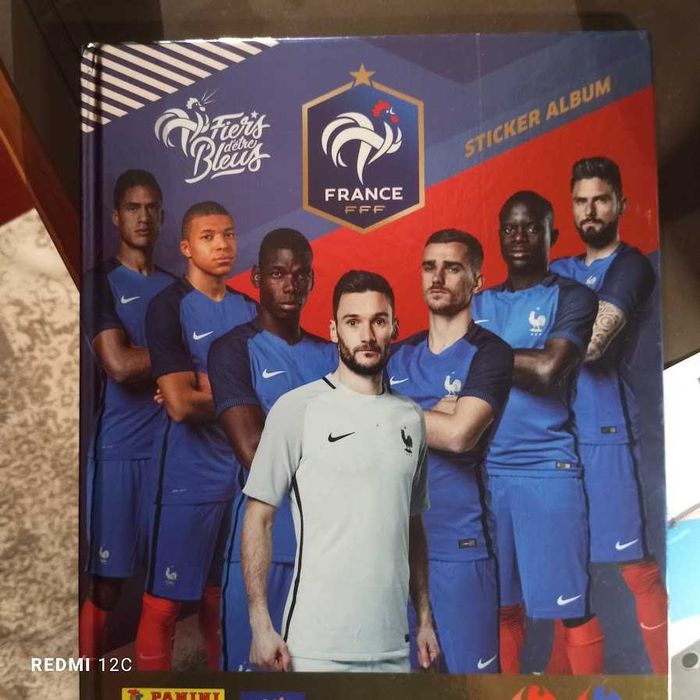 Panini Team France 2018