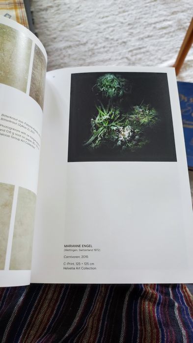 In the time of Ecological Disruption -IACCCA