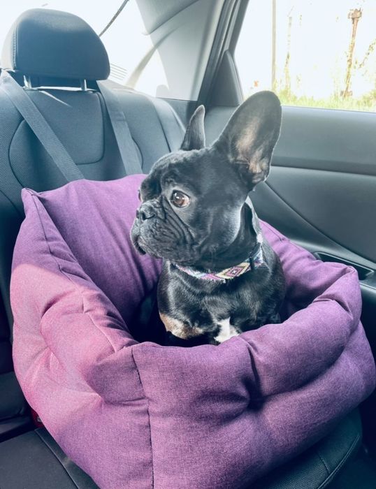 Автогамаки. 45*50 см. Колір сірий