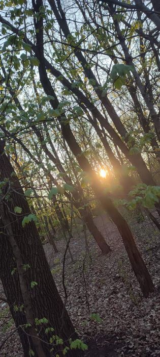 Продаю свой уютный дом