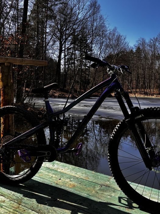 Dartmoor rocbird cosmic L-ka