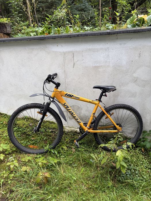 Specialized HR comp