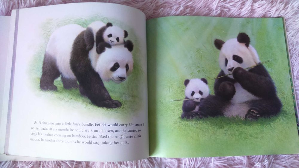 Книга для дітей на англійській  "Pi-shu, the Little Panda" Пі-шу, маленька панда