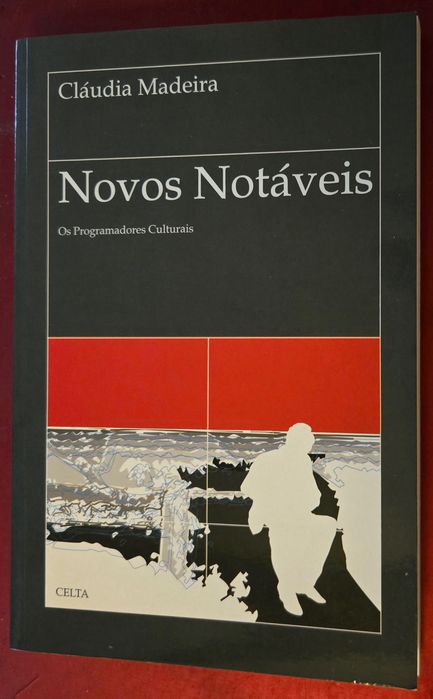 Novos Notáveis: Os Programadores Culturais (Cláudia Madeira, 2002)