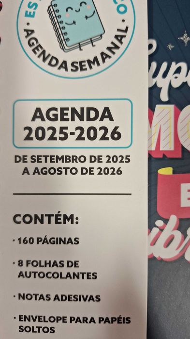 Cama eletrica com comando colchão incluido