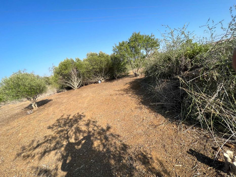 Terreno rústico sito junto à zona urbana de Algoz