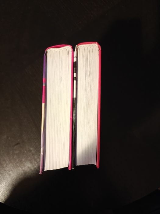 Murakami 1Q84 Tom 2 i 3