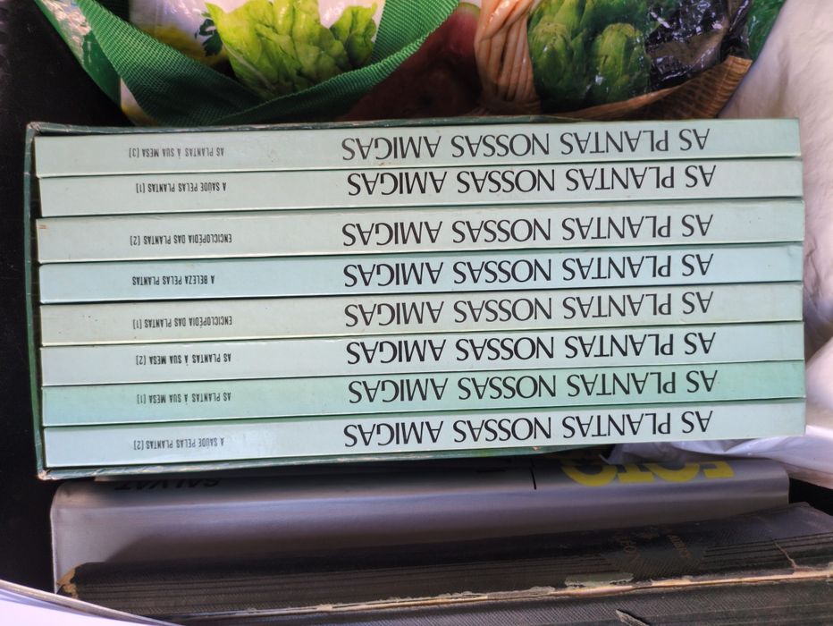 As plantas nossas amigas