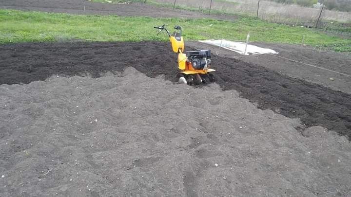 Glebogryzarka separacyjna - usługi