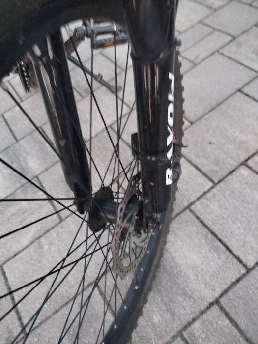 Rayon Viper Czerwony 24'' 2X Disc