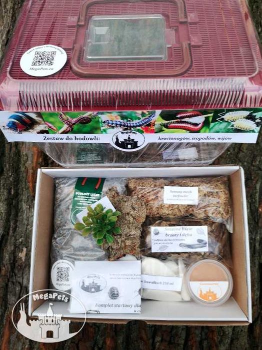 Zestaw do hodowli + Faunabox wije isopody kulanki