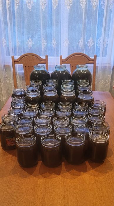 Натуральний гірський мед