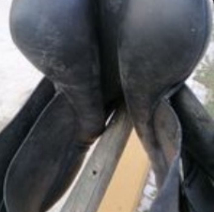 Vendo material equestre