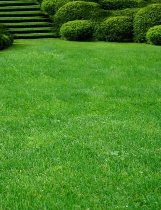 Покос травы не дорого