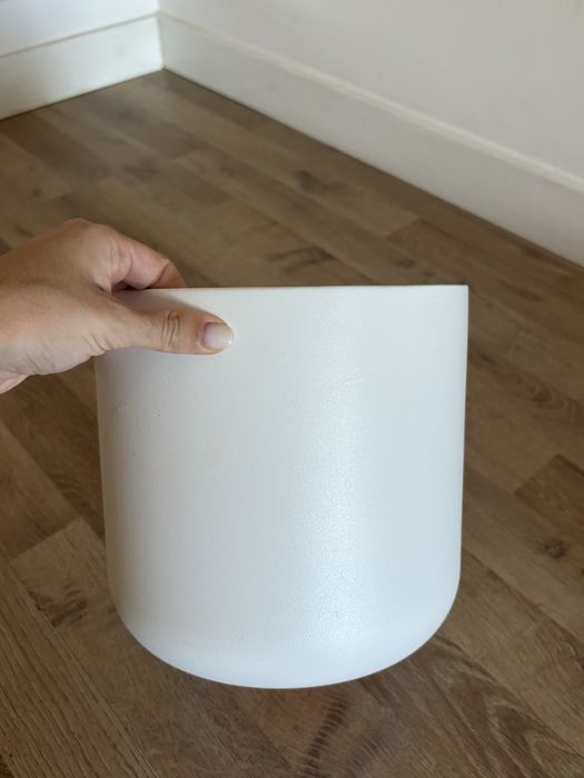 Vaso branco planta