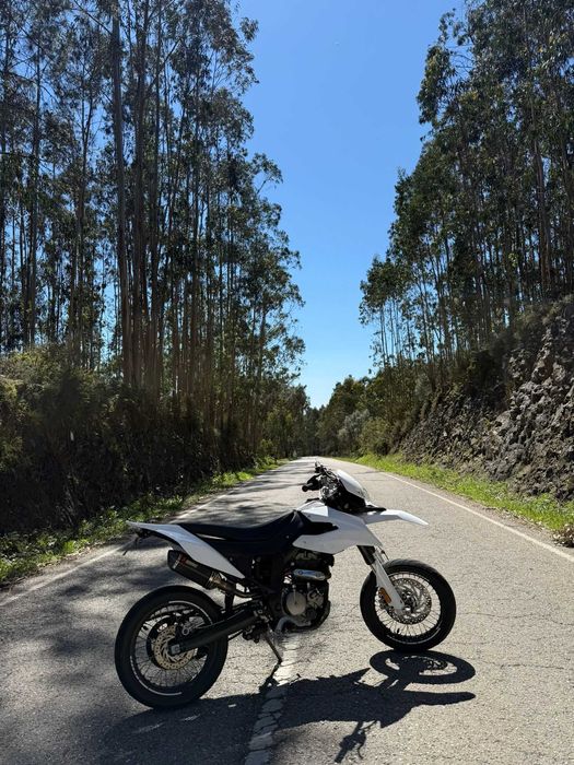 UM DSR 125cc 11kw 2024