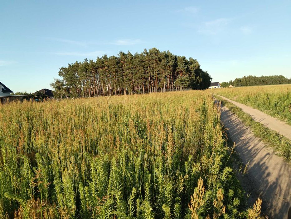 Działki budowlane Lubochnia