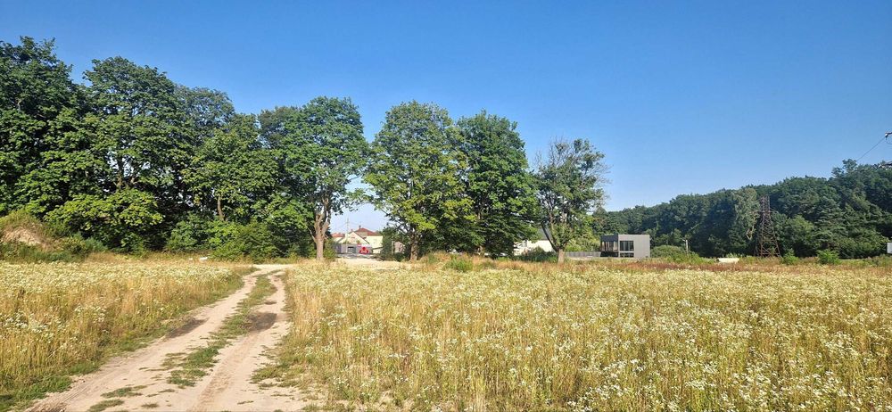 Продається земельна ділянка 9,2сот в с.Зимна Вода під забудову - Вид 3