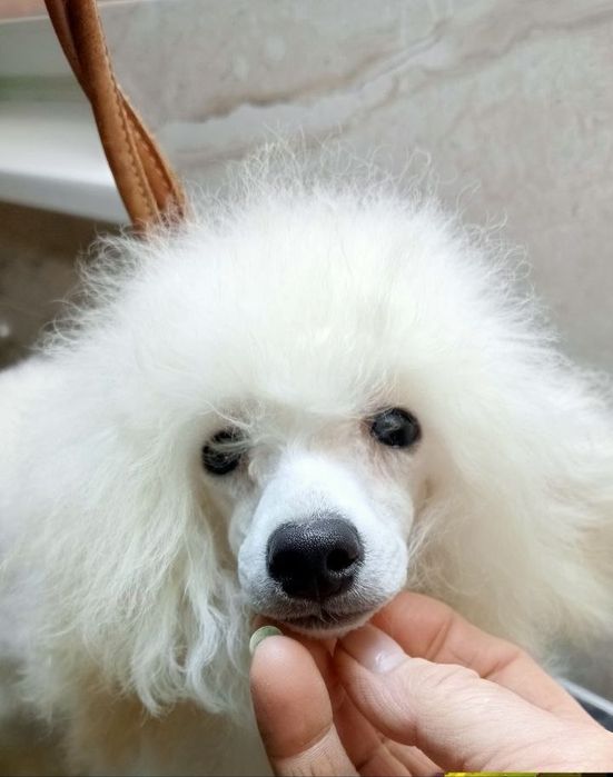 Девочка и мальчик