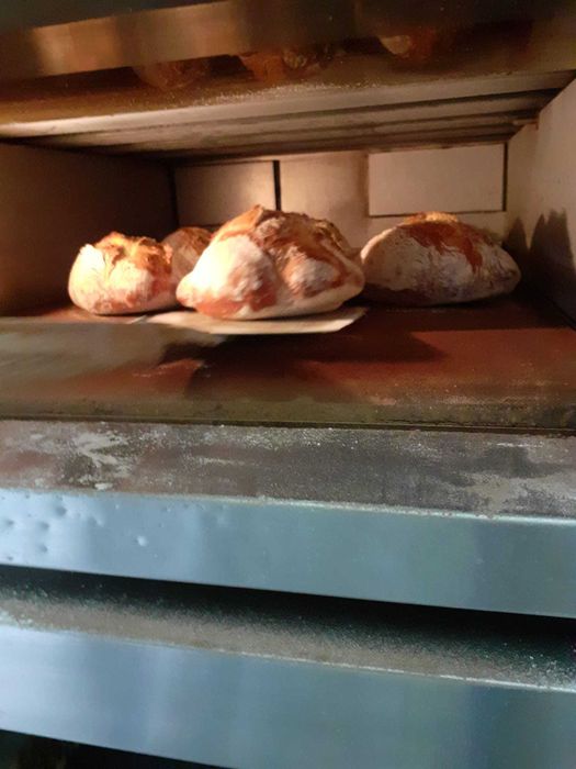 FORNO MODULAR ECO-ENERGETICO /SALVA