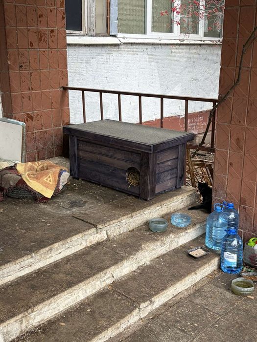 Будинок для котів