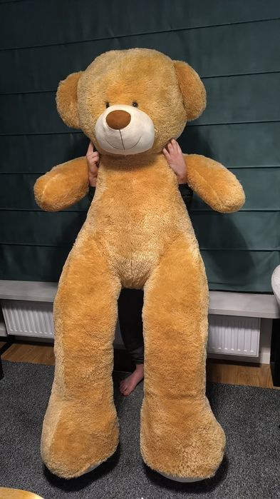 Miś pluszowy 200 cm