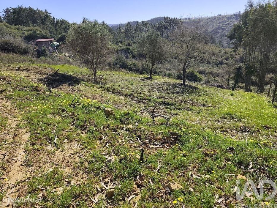 Terreno Agrícola em Mafra