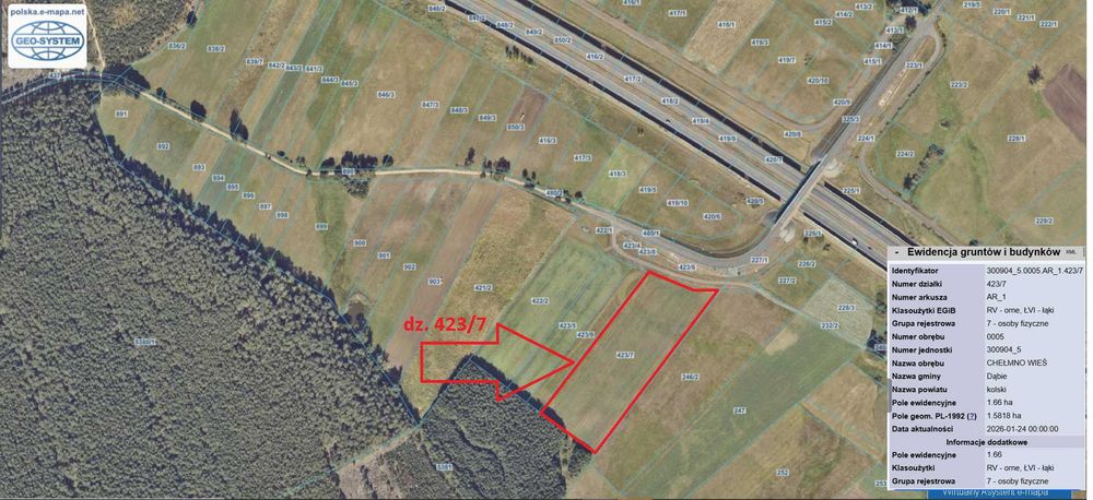 Sprzedam grunty rolne 3,15ha w miejscowości Gaj i Chełmno, gmina Dąbie - Widok 2