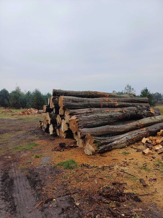 Grab kominkowy,Opał,Opałowy