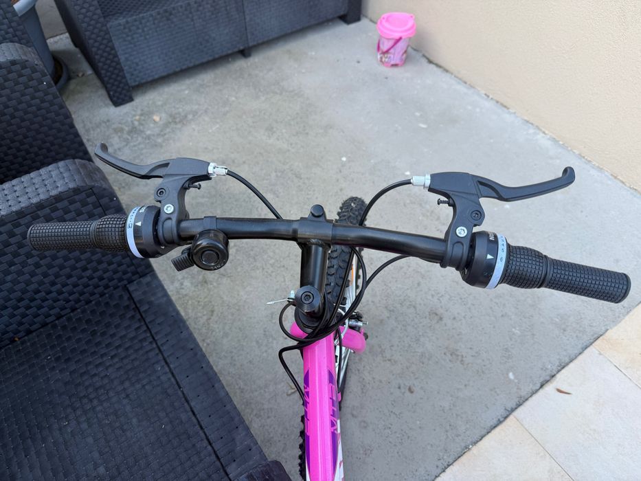 Bicicleta Rosa Neon