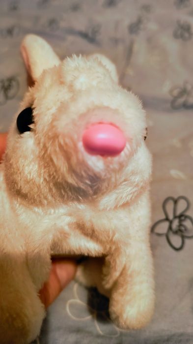 Królik na baterie