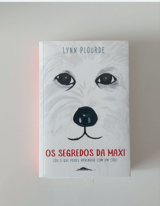 Os segredo da Maxi