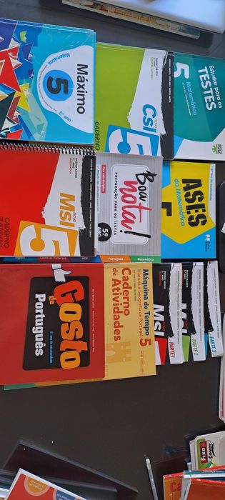 Cadernos de atividades 5.o ano