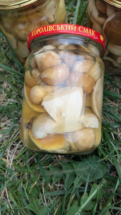 Мариновані білі гриби.  Грибы белые