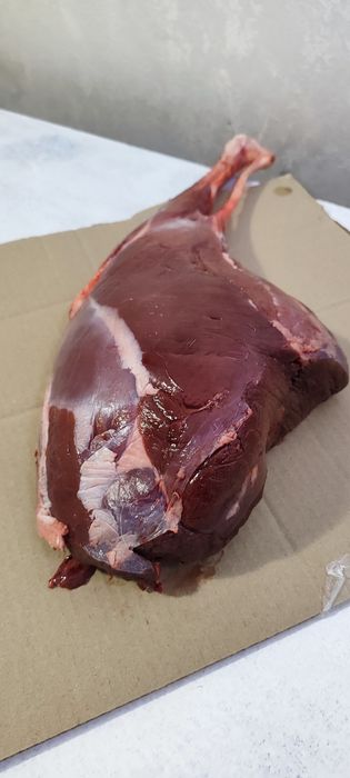 Козуля, задня ніжка, лопатка, каре , вирізка