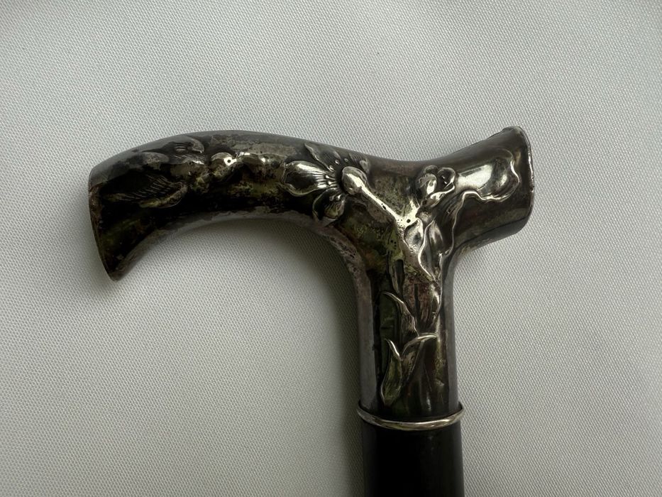 Тростина із срібла