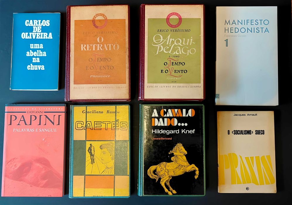 31 livros. Literatura variada. Lote 90€.