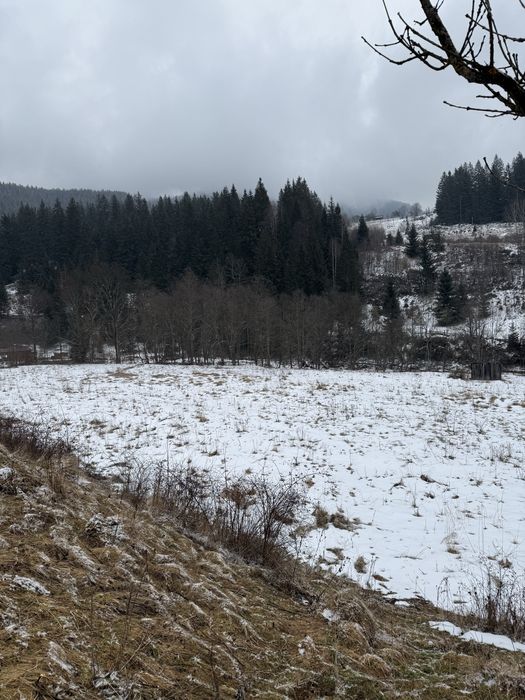 Кривопілля гори Карпати, Верховинщина