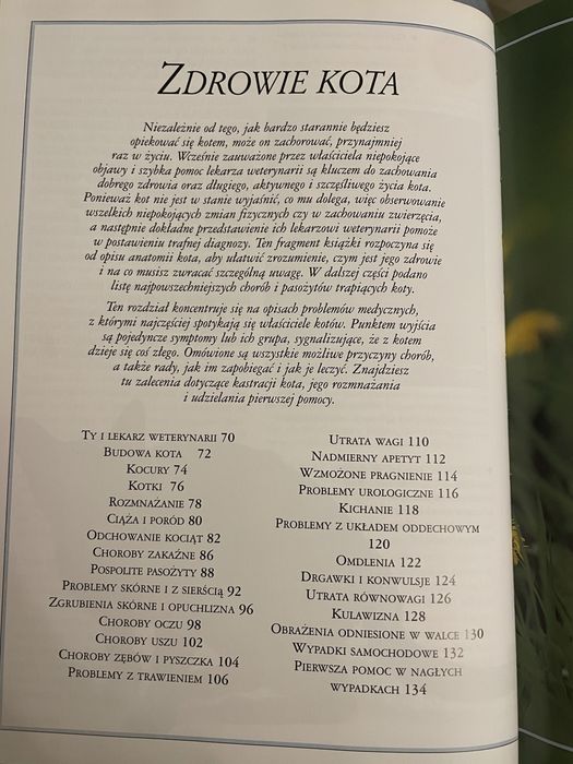 Mój kot