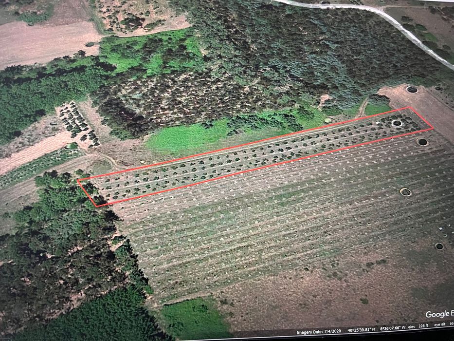 Terreno 2,840 M2 Grandes Oliveiras, Poço, Canalização -Cavadas, Covoes