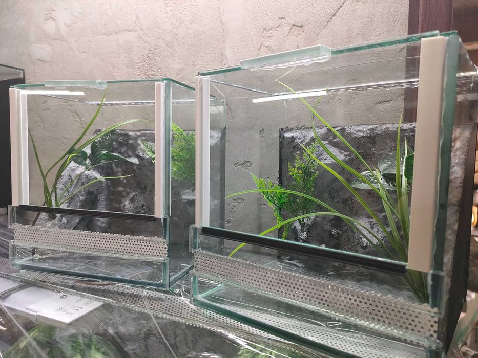 Terrarium M1 dla pająka, ptasznik, skorpion 20x18x20