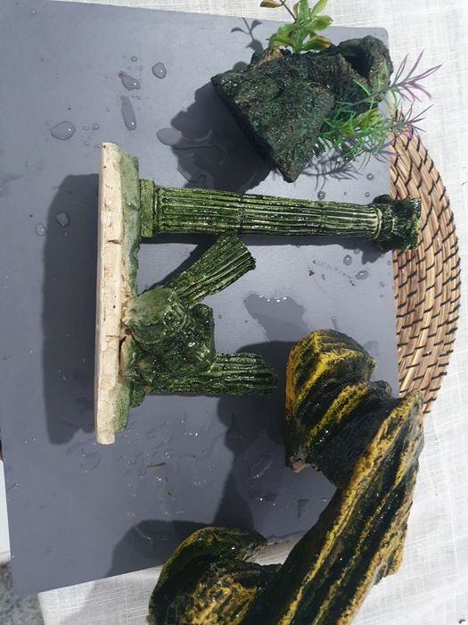 Acessórios para aquario guppies, platys, Molly's e búzios