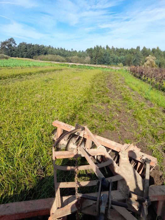 Grade de discos Herculano