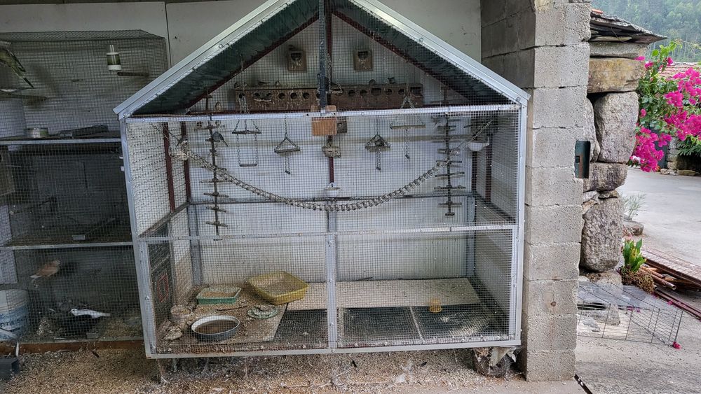 Vendo todos as minhas aves e viveiros