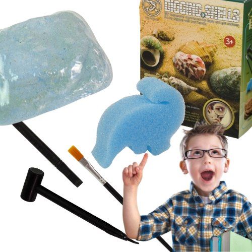 Archeologiczne wykopaliska muszle muszelki gips