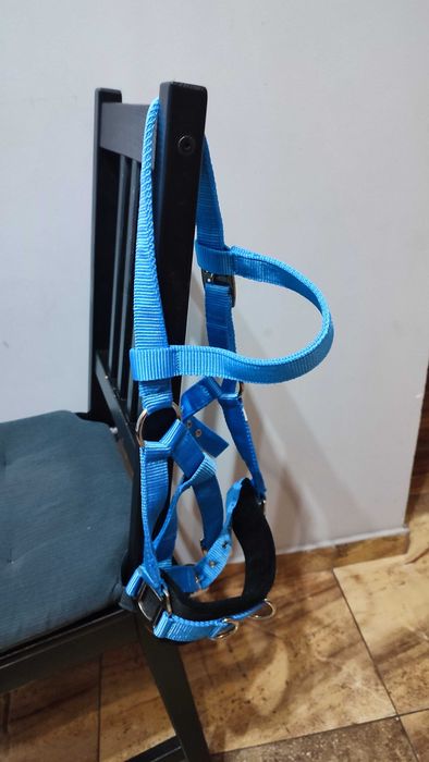 Kawecan pony Waldhausen jak nowy .
